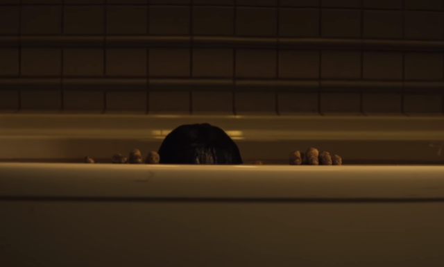 [Bande annonce] The Grudge, la malédiction frappe à nouveau
