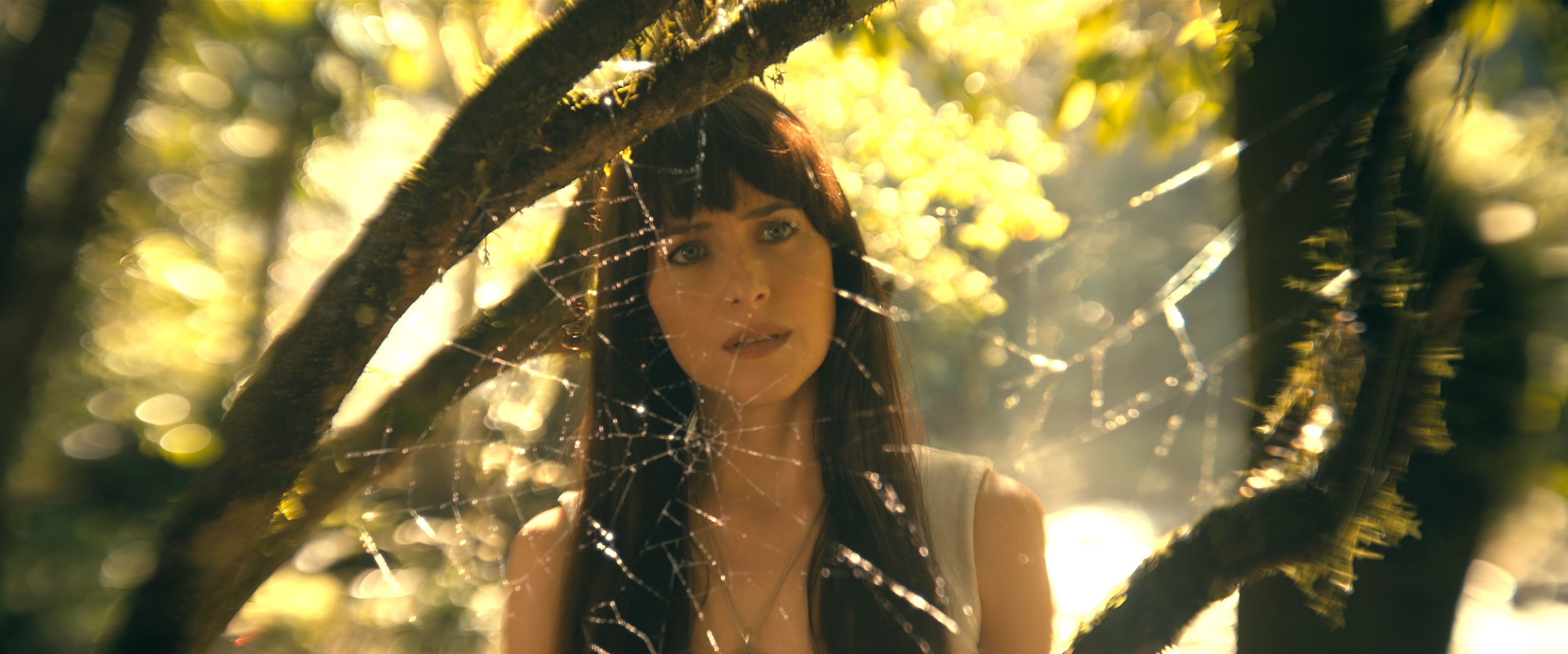 [Cinéma] Sony Pictures continue de tisser la toile du Spider-Verse avec Madame Web