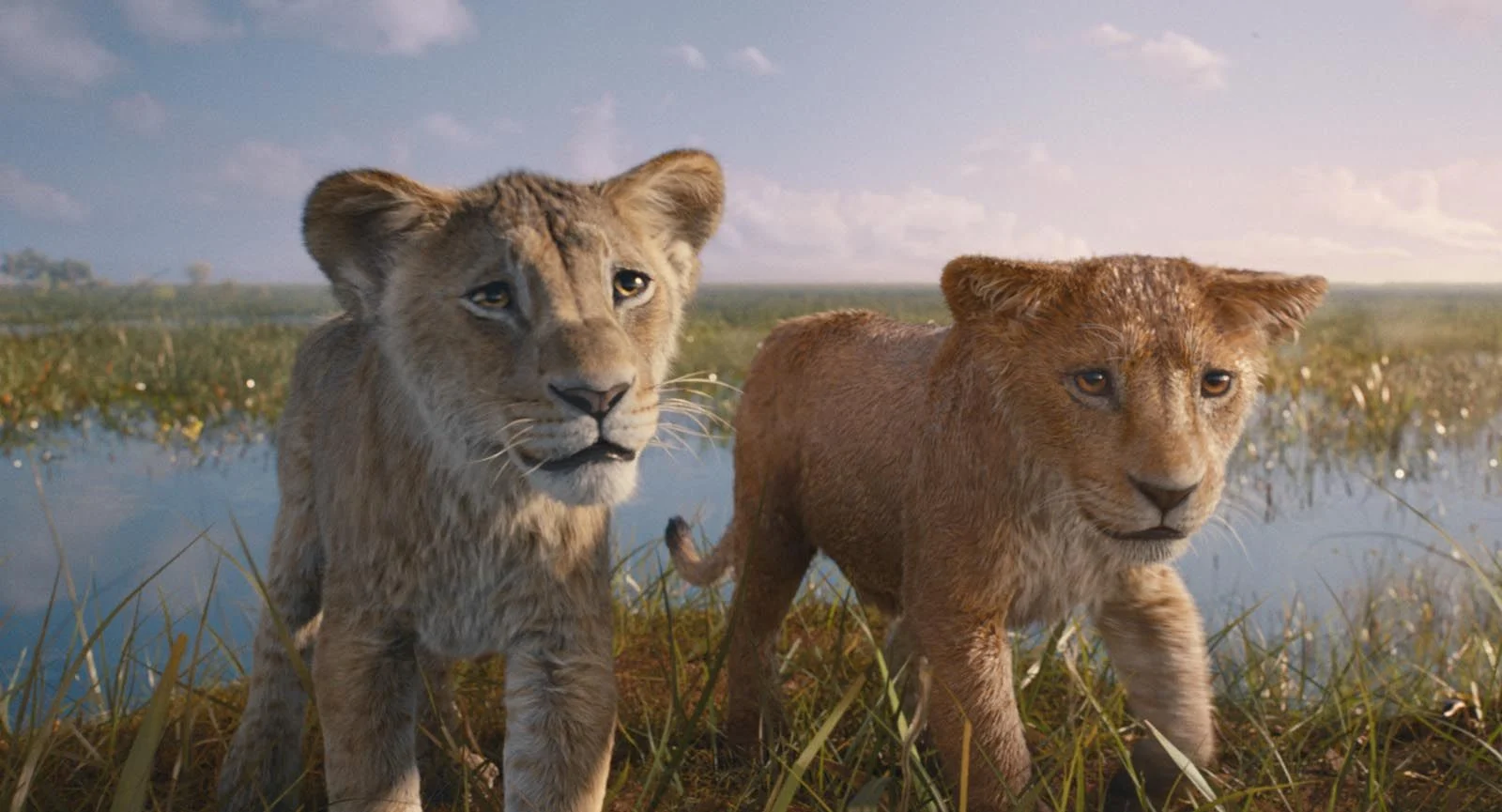 [Critique] Mufasa : Le Roi Lion, galoper vers son destin