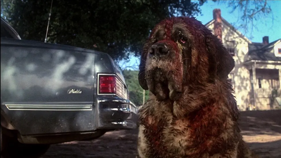 [Cinéma] Cujo de Stephen King prêt à être revisité sur Netflix par un réalisateur qui ne manque pas de mordant