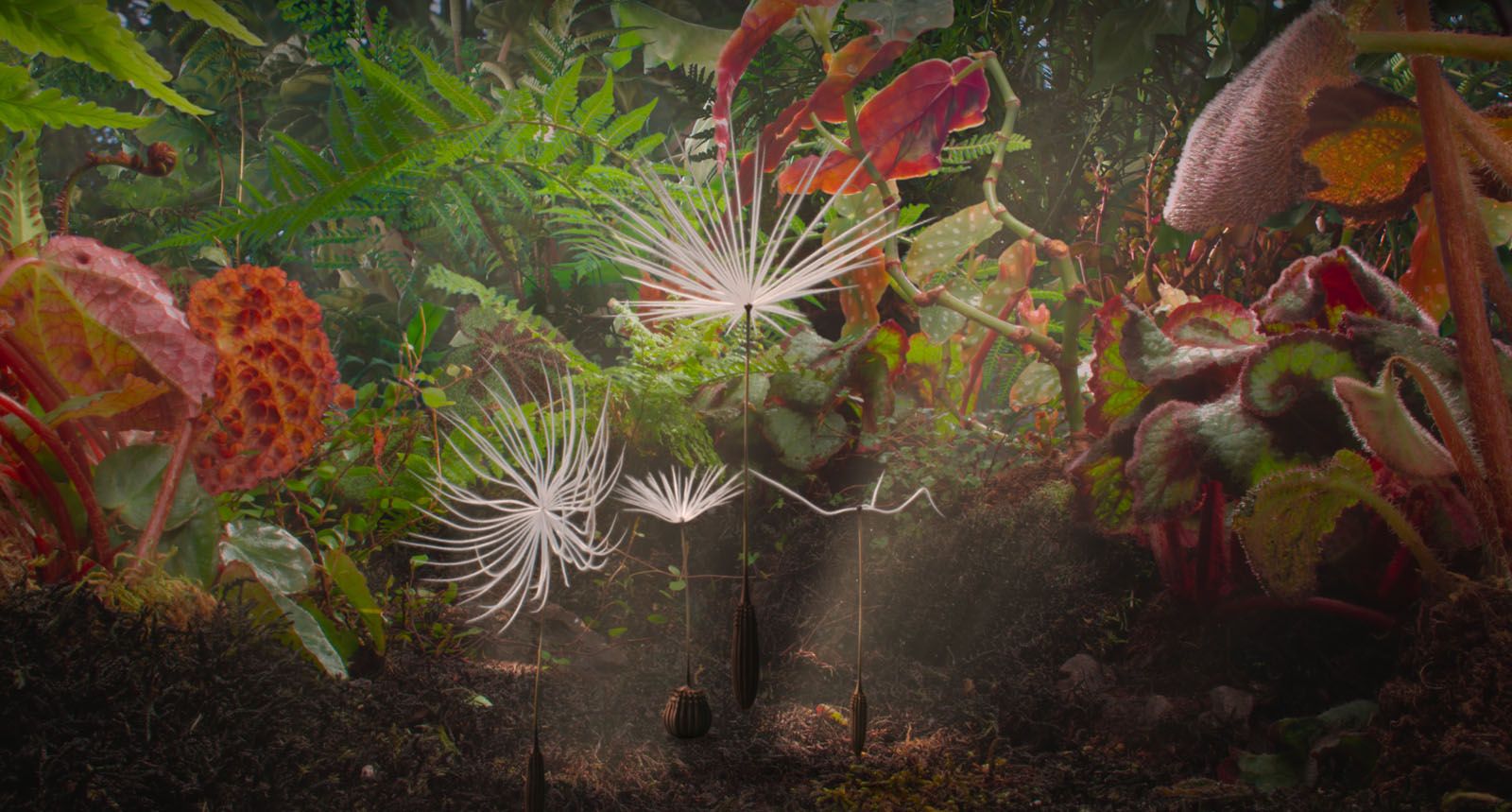 [Critique] Planètes, la nature trouve toujours son chemin